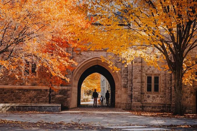 A stone arch on campus under fall trees