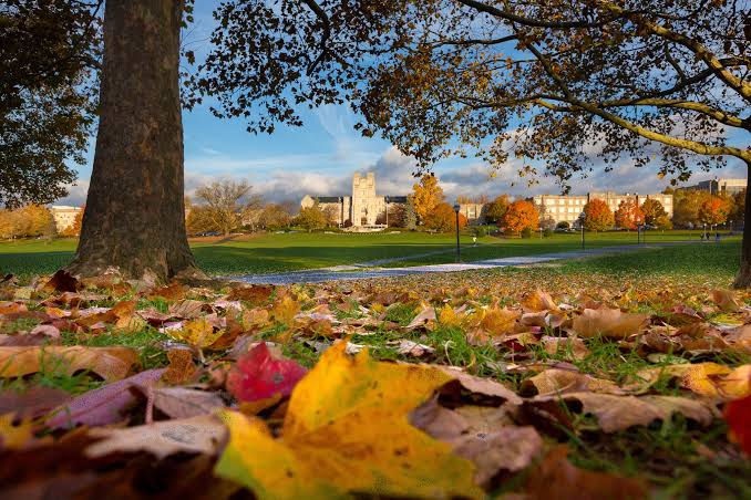 Fall leaves on the Drillfield, Burruss Hall across the green